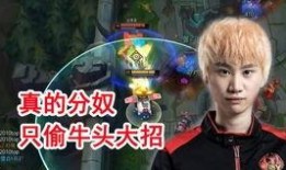 猫皇最新直播爆料,最新爆料内容大汇总