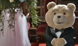 天涯爆料泰迪视频下载,泰迪视频下载事件揭秘