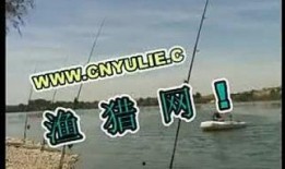 钓鱼爆料视频大全最新