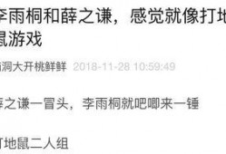 小林的吃瓜日记免费阅读,揭秘娱乐圈幕后故事