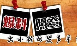 重庆最新爆料台,揭秘城市热点事件背后的真相