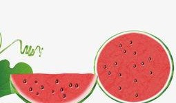 吃瓜素材视频下载网站免费,一键下载，畅享海量视频盛宴