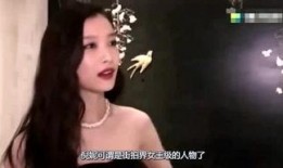娱乐明星大爆料是谁,大爆料背后的真相与内幕