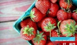 娱乐吃瓜酱草莓发卡,娱乐吃瓜酱的时尚宠儿