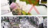 违建可以作为新闻爆料吗,揭开城市乱象背后的真相