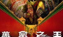 万凰之王国语在线观看,宫廷权谋与爱情纠葛的华丽演绎