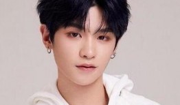 黄明昊爆料模板视频,独家爆料模板视频背后的精彩瞬间