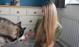 狗狗最新爆料视频,揭秘宠物界的秘密生活