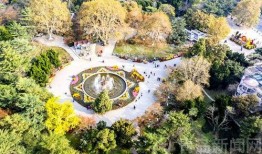 中山公园最新爆料,揭秘公园历史变迁与未来规划