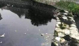 揭阳东山最新爆料事件,神秘事件背后真相揭晓