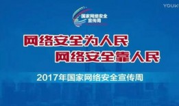 新疆平安爆料最新消息视频,最新视频揭露惊人真相