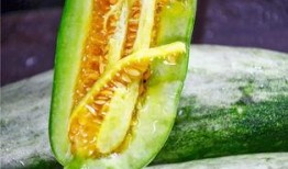 宿州网红团长吃瓜