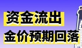 黄金爆料新闻视频,揭秘新闻视频背后的惊人真相