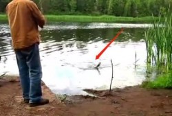 钓鱼爆料视频大全最新