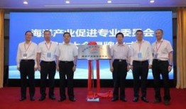 大湾区新闻爆料网站查询,揭秘新闻爆料网站独家报道！”