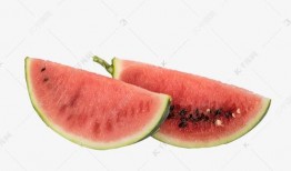 吃瓜素材视频下载网站免费,一键下载，畅享海量视频盛宴