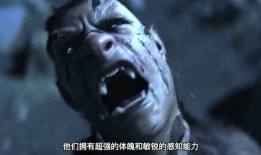 狼人部队在线观看,在线揭秘神秘特种部队的生死较量