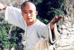 电影太极宗师在线观看,传奇宗师，武道巅峰