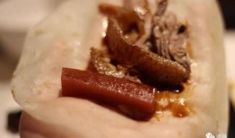 探店爆料北京烤鸭视频大全,北京烤鸭风味盛宴视频大盘点