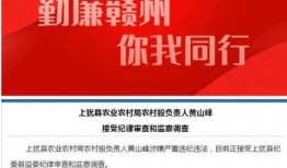 爆料违法乱纪的新闻,某部门官员涉嫌违法乱纪，引发社会广泛关注