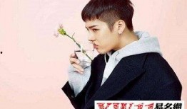 娱乐吃瓜网名男生名字,揭秘明星男星们的瓜田秘事