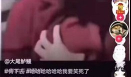 包浆爆料视频下载,探寻古董收藏的神秘面纱