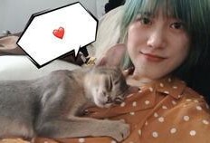 抖音小宝爆料事件视频,揭秘背后真相与争议