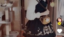 御姐新人爆料视频大全下载,视频大全下载攻略