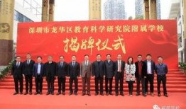 深圳龙华小王最新爆料,揭秘龙华最新动态