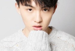 郑伟爆料视频大全集下载,揭秘背后真相与精彩瞬间