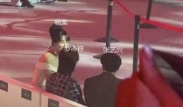 今日头条杨紫爆料,揭秘娱乐圈幕后故事