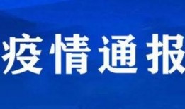 句容新闻爆料网最新消息,最新动态速览，热点事件聚焦