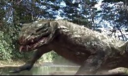 金刚在线观看免费八哥,金刚在线免费观影之旅