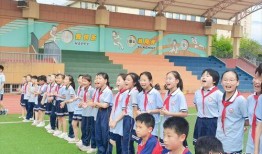 师大附小实验小学爆料视频,校园生活精彩瞬间