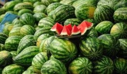 礼县网红吃瓜事件真相,真相背后的网络风波