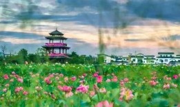 句容新闻爆料网最新消息,最新动态速览，热点事件聚焦