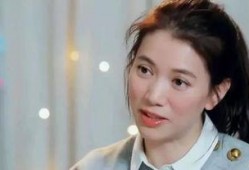 袁咏仪爆料香港小姐视频,一场关于美貌与智慧的较量