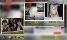 汉中主播爆料案件视频曝光,案情细节引发社会关注