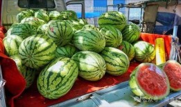 礼县网红吃瓜事件真相,真相背后的网络风波