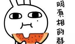 娱乐吃瓜酱学单词,娱乐吃瓜酱带你轻松学单词