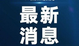沈阳爆料最新消息视频,视频揭露惊人内幕