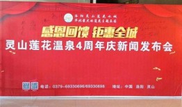 宜阳县新闻爆料网最新,突发！宜阳县最新事件引发关注